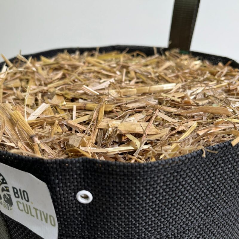 BioBag Especial para Grande Porte