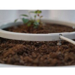Anel de gotejamento para Blumat