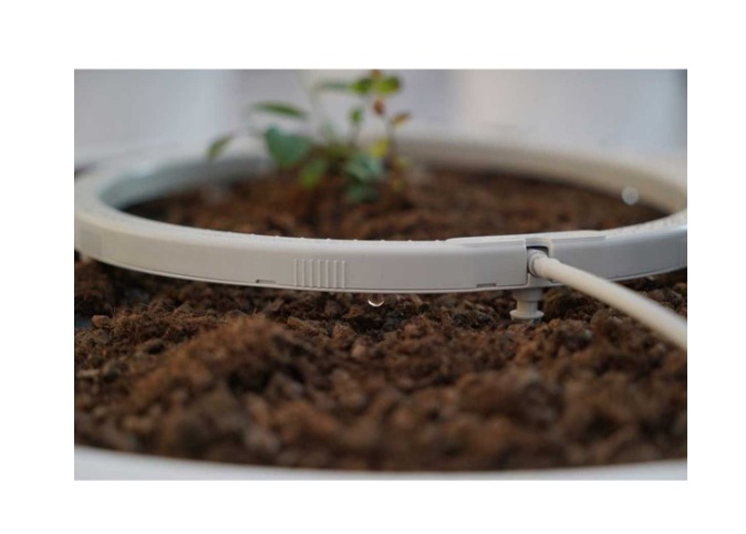 Anel de gotejamento para Blumat
