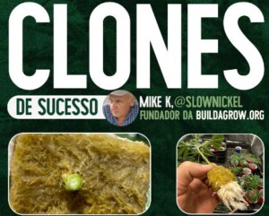 Curso Mike K - Como ter Mães e Clones Saudáveis