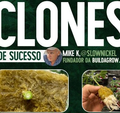 Curso Mike K - Como ter Mães e Clones Saudáveis