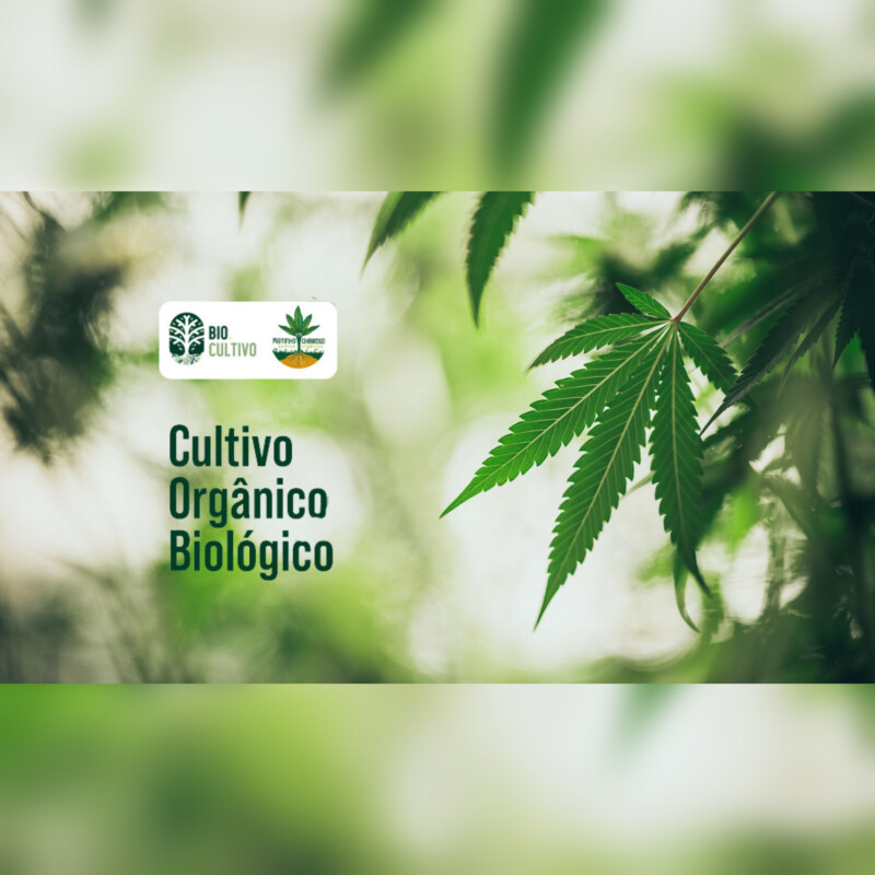 Curso Cultivo Orgânico Biológico