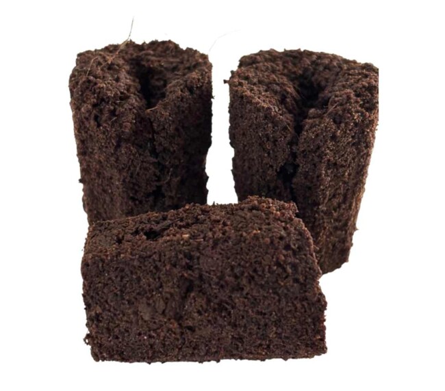 Cubos de Propagação BioCultivo – Turfa Premium (50 un)