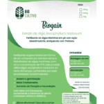 BioGain – Extrato de Alga Premium | Bioestimulante Natural
