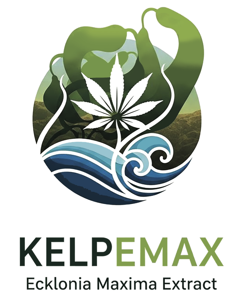 KELPEMAX– Bioestimulante Natural de Ecklonia Máxima