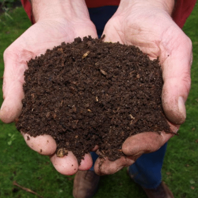 Húmus de Minhoca BioCultivo