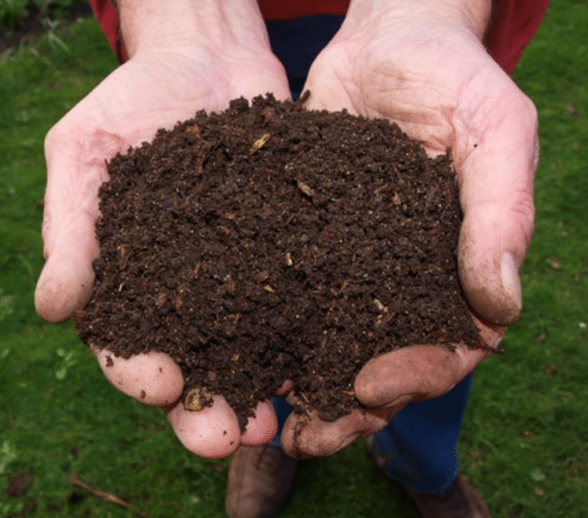 Húmus de Minhoca BioCultivo – Adubo Orgânico 100% Natural