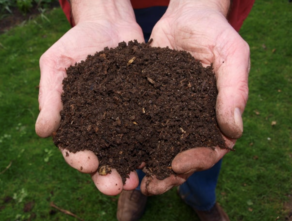 Húmus de Minhoca BioCultivo – Adubo Orgânico 100% Natural