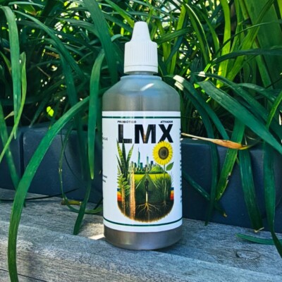 LMX 100 ml