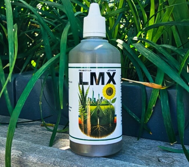 LMX 100 ml