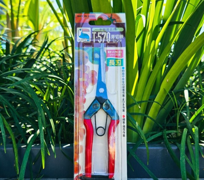 Tesoura de Colheita Chikamasa T-570 – Corte Preciso e Profissional