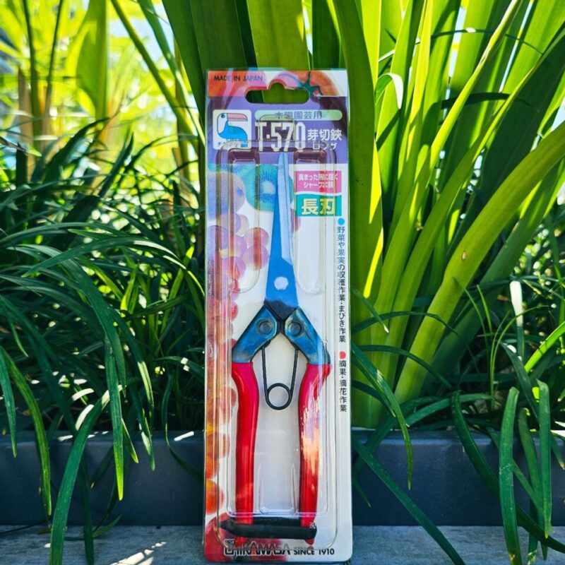 Tesoura de Colheita Chikamasa T-570 – Corte Preciso e Profissional