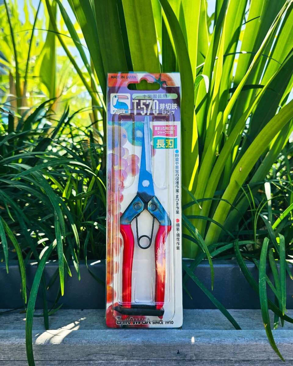 Tesoura de Colheita Chikamasa T-570 – Corte Preciso e Profissional
