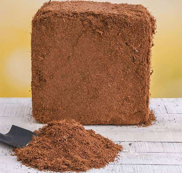 Pó de Coco Tamponado - BioElite 0-6mm