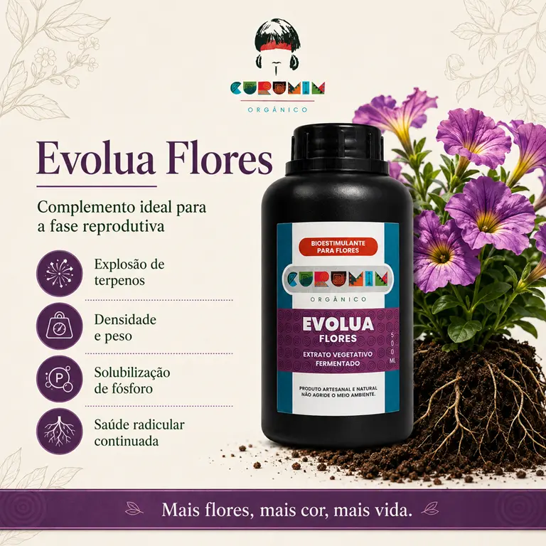 Curumim - Evolua Flores