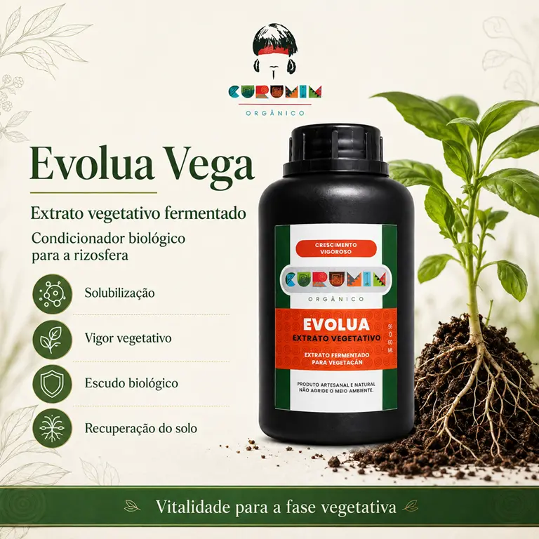 Curumim  Evolua Vega