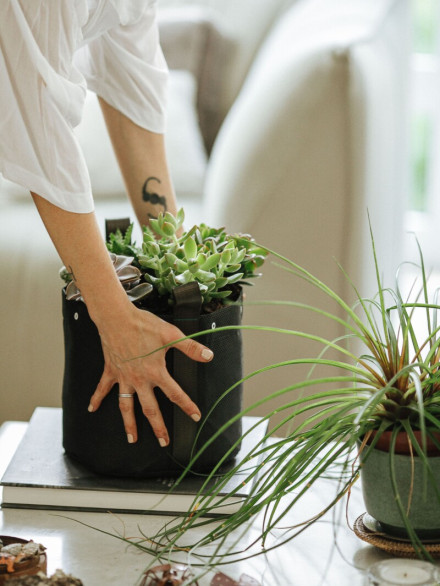 BioCultivo_Finals_LR_285 (1)